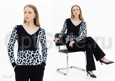 Passioni -  - 2025
,   
    