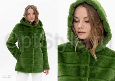 Passioni -  - 2025
,   
    