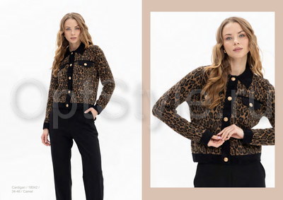 Passioni -  - 2025
,   
    