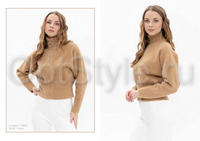 Passioni -  - 2025
,   
    